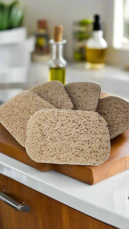 Soap Saver Dish